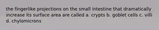 the fingerlike projections on the small intestine that dramatically increase its surface area are called a. crypts b. goblet cells c. villi d. chylomicrons