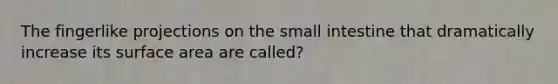 The fingerlike projections on the small intestine that dramatically increase its surface area are called?