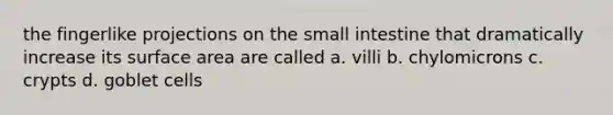 the fingerlike projections on the small intestine that dramatically increase its surface area are called a. villi b. chylomicrons c. crypts d. goblet cells