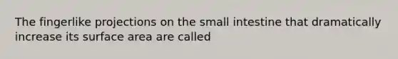 The fingerlike projections on the small intestine that dramatically increase its surface area are called