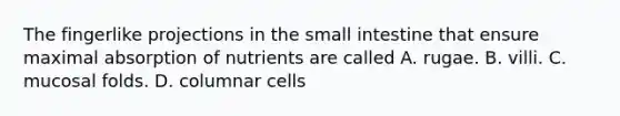 The fingerlike projections in the small intestine that ensure maximal absorption of nutrients are called A. rugae. B. villi. C. mucosal folds. D. columnar cells