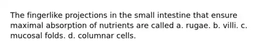 The fingerlike projections in the small intestine that ensure maximal absorption of nutrients are called a. rugae. b. villi. c. mucosal folds. d. columnar cells.