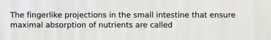 The fingerlike projections in the small intestine that ensure maximal absorption of nutrients are called