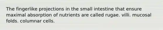The fingerlike projections in the small intestine that ensure maximal absorption of nutrients are called rugae. villi. mucosal folds. columnar cells.