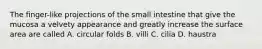The finger-like projections of the small intestine that give the mucosa a velvety appearance and greatly increase the surface area are called A. circular folds B. villi C. cilia D. haustra