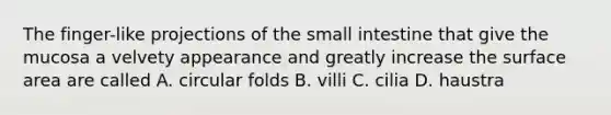 The finger-like projections of <a href='https://www.questionai.com/knowledge/kt623fh5xn-the-small-intestine' class='anchor-knowledge'>the small intestine</a> that give the mucosa a velvety appearance and greatly increase the <a href='https://www.questionai.com/knowledge/kEtsSAPENL-surface-area' class='anchor-knowledge'>surface area</a> are called A. circular folds B. villi C. cilia D. haustra