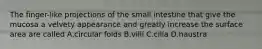 The finger-like projections of the small intestine that give the mucosa a velvety appearance and greatly increase the surface area are called A.circular folds B.villi C.cilia D.haustra