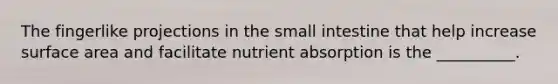 The fingerlike projections in the small intestine that help increase surface area and facilitate nutrient absorption is the __________.