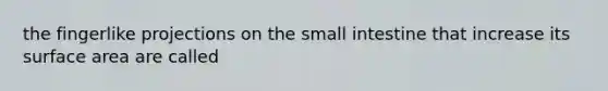 the fingerlike projections on the small intestine that increase its surface area are called