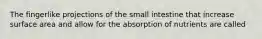 The fingerlike projections of the small intestine that increase surface area and allow for the absorption of nutrients are called