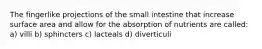 The fingerlike projections of the small intestine that increase surface area and allow for the absorption of nutrients are called: a) villi b) sphincters c) lacteals d) diverticuli