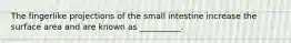 The fingerlike projections of the small intestine increase the surface area and are known as __________.