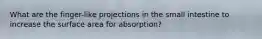 What are the finger-like projections in the small intestine to increase the surface area for absorption?