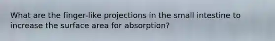 What are the finger-like projections in the small intestine to increase the surface area for absorption?