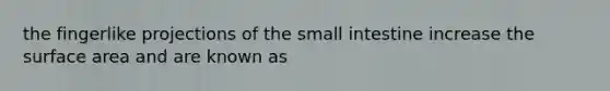 the fingerlike projections of the small intestine increase the surface area and are known as