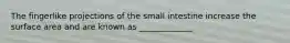 The fingerlike projections of the small intestine increase the surface area and are known as _____________