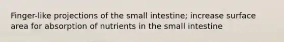 Finger-like projections of the small intestine; increase surface area for absorption of nutrients in the small intestine