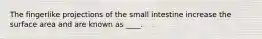 The fingerlike projections of the small intestine increase the surface area and are known as ____.