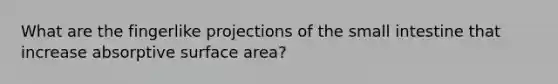 What are the fingerlike projections of the small intestine that increase absorptive surface area?