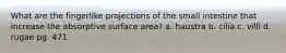 What are the fingerlike projections of the small intestine that increase the absorptive surface area? a. haustra b. cilia c. villi d. rugae pg. 471