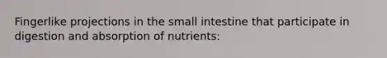 Fingerlike projections in the small intestine that participate in digestion and absorption of nutrients: