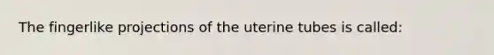 The fingerlike projections of the uterine tubes is called: