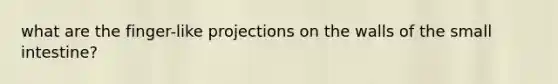 what are the finger-like projections on the walls of the small intestine?