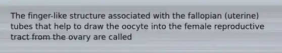 The finger-like structure associated with the fallopian (uterine) tubes that help to draw the oocyte into the female reproductive tract from the ovary are called