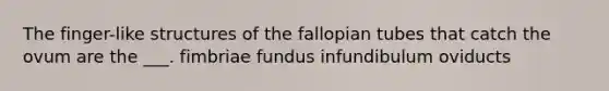 The finger-like structures of the fallopian tubes that catch the ovum are the ___. fimbriae fundus infundibulum oviducts