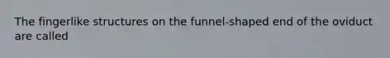 The fingerlike structures on the funnel-shaped end of the oviduct are called