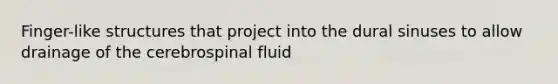 Finger-like structures that project into the dural sinuses to allow drainage of the cerebrospinal fluid