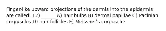 Finger-like upward projections of the dermis into the epidermis are called: 12) ______ A) hair bulbs B) dermal papillae C) Pacinian corpuscles D) hair follicles E) Meissnerʹs corpuscles