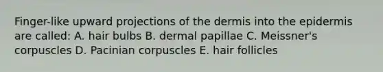 Finger-like upward projections of the dermis into the epidermis are called: A. hair bulbs B. dermal papillae C. Meissner's corpuscles D. Pacinian corpuscles E. hair follicles