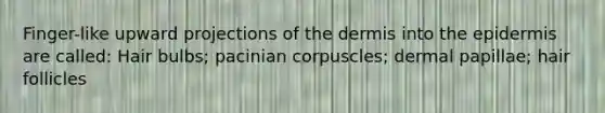 Finger-like upward projections of <a href='https://www.questionai.com/knowledge/kEsXbG6AwS-the-dermis' class='anchor-knowledge'>the dermis</a> into <a href='https://www.questionai.com/knowledge/kBFgQMpq6s-the-epidermis' class='anchor-knowledge'>the epidermis</a> are called: Hair bulbs; pacinian corpuscles; dermal papillae; hair follicles