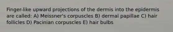 Finger-like upward projections of the dermis into the epidermis are called: A) Meissner's corpuscles B) dermal papillae C) hair follicles D) Pacinian corpuscles E) hair bulbs