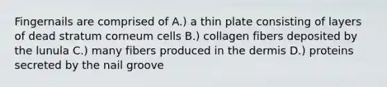Fingernails are comprised of A.) a thin plate consisting of layers of dead stratum corneum cells B.) collagen fibers deposited by the lunula C.) many fibers produced in the dermis D.) proteins secreted by the nail groove
