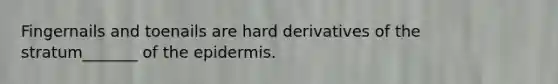Fingernails and toenails are hard derivatives of the stratum_______ of the epidermis.