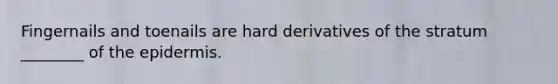 Fingernails and toenails are hard derivatives of the stratum ________ of the epidermis.