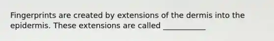 Fingerprints are created by extensions of the dermis into the epidermis. These extensions are called ___________