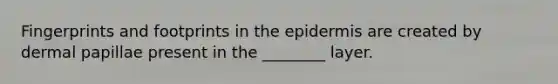 Fingerprints and footprints in the epidermis are created by dermal papillae present in the ________ layer.