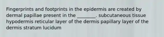 Fingerprints and footprints in <a href='https://www.questionai.com/knowledge/kBFgQMpq6s-the-epidermis' class='anchor-knowledge'>the epidermis</a> are created by dermal papillae present in the ________. subcutaneous tissue hypodermis reticular layer of the dermis papillary layer of the dermis stratum lucidum