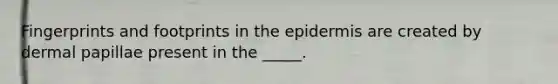 Fingerprints and footprints in the epidermis are created by dermal papillae present in the _____.