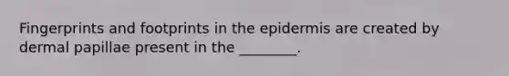 Fingerprints and footprints in <a href='https://www.questionai.com/knowledge/kBFgQMpq6s-the-epidermis' class='anchor-knowledge'>the epidermis</a> are created by dermal papillae present in the ________.