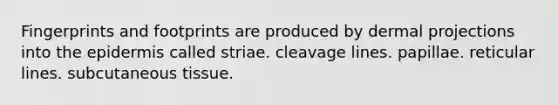 Fingerprints and footprints are produced by dermal projections into the epidermis called striae. cleavage lines. papillae. reticular lines. subcutaneous tissue.