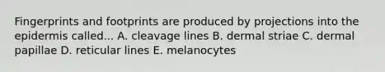 Fingerprints and footprints are produced by projections into the epidermis called... A. cleavage lines B. dermal striae C. dermal papillae D. reticular lines E. melanocytes