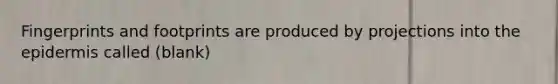 Fingerprints and footprints are produced by projections into the epidermis called (blank)