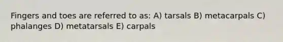 Fingers and toes are referred to as: A) tarsals B) metacarpals C) phalanges D) metatarsals E) carpals