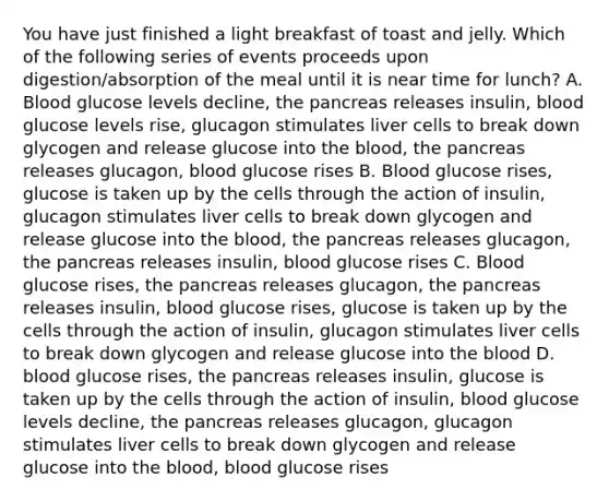 You have just finished a light breakfast of toast and jelly. Which of the following series of events proceeds upon digestion/absorption of the meal until it is near time for lunch? A. Blood glucose levels decline, the pancreas releases insulin, blood glucose levels rise, glucagon stimulates liver cells to break down glycogen and release glucose into the blood, the pancreas releases glucagon, blood glucose rises B. Blood glucose rises, glucose is taken up by the cells through the action of insulin, glucagon stimulates liver cells to break down glycogen and release glucose into the blood, the pancreas releases glucagon, the pancreas releases insulin, blood glucose rises C. Blood glucose rises, the pancreas releases glucagon, the pancreas releases insulin, blood glucose rises, glucose is taken up by the cells through the action of insulin, glucagon stimulates liver cells to break down glycogen and release glucose into the blood D. blood glucose rises, the pancreas releases insulin, glucose is taken up by the cells through the action of insulin, blood glucose levels decline, the pancreas releases glucagon, glucagon stimulates liver cells to break down glycogen and release glucose into the blood, blood glucose rises