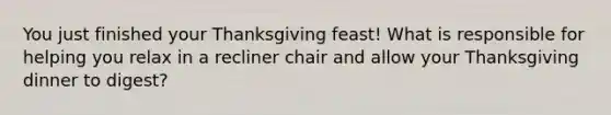 You just finished your Thanksgiving feast! What is responsible for helping you relax in a recliner chair and allow your Thanksgiving dinner to digest?