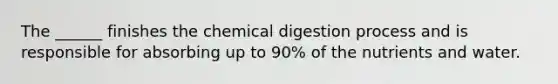 The ______ finishes the chemical digestion process and is responsible for absorbing up to 90% of the nutrients and water.